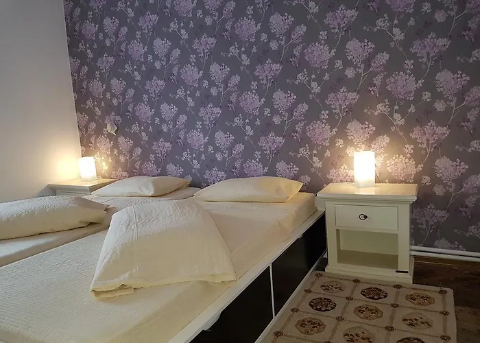 Auberge de jeunesse Vogue Bucarest